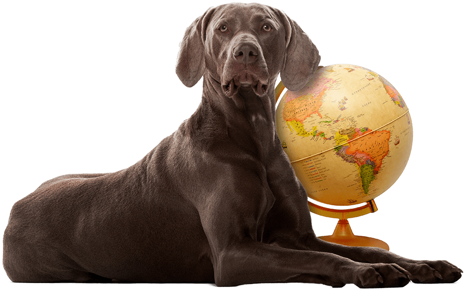 The dog and globe from Small Tales & True